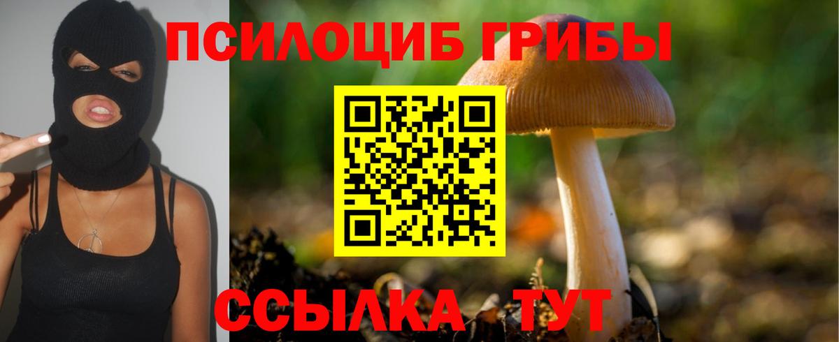 Галлюциногенные грибы прущие грибы Волгодонск